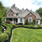 late summer lawn care