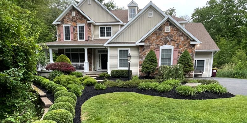 late summer lawn care