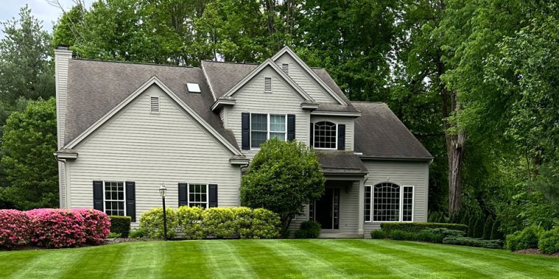 summer lawn nutrition tips