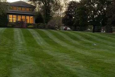 tick control application services clifton park